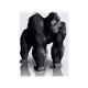 19278936760189342347465832345814591433426095324975447622995248718080519438337