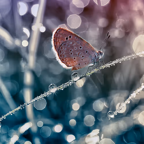 9260538880738646448046418891529255088625136826813512017686583784119853908068