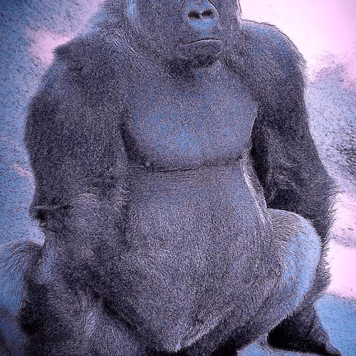 Item #105394010161551018097936078642910549059002323015222353178191528722076457238529 Media