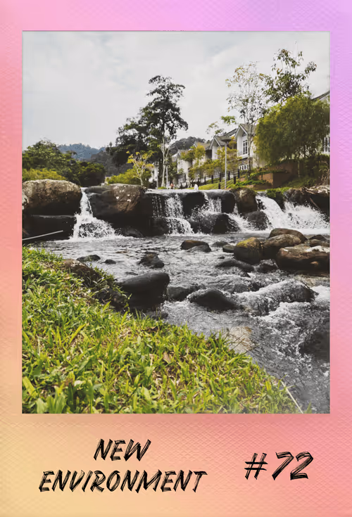 Item #18140997515377128160158968523159996217114177241971252652829514304575040913409 Media