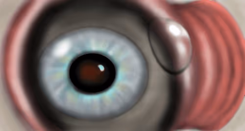 Item #20218994840825374785300390252407857383155182276225694155165314440345149243393 Media