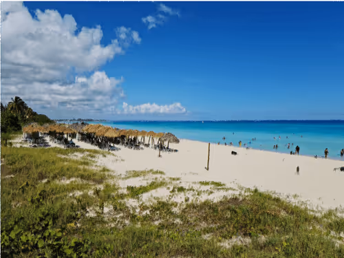 Item #9225356795539310570357187106968602912892435836590524400680958703926509568001 Media