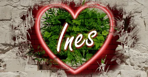 Item #68053287575525751288269231675427811746861684968250582901590729448497113726986 Media