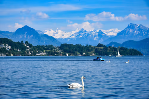 Item #110527260679406616687648876456332476743393224185300282858370831866241533083649 Media