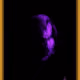 99650105096816163496474084497643236209470819814416644438757201844769529004033