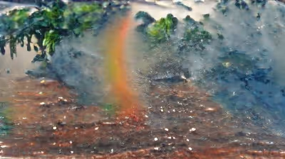 Item #10887414983614415409688182024560855591741723909539222137177705146235106638488 Media