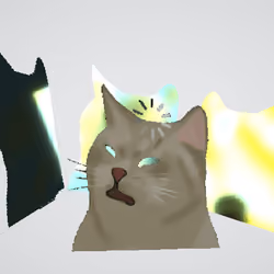 Cat X Loading..................
