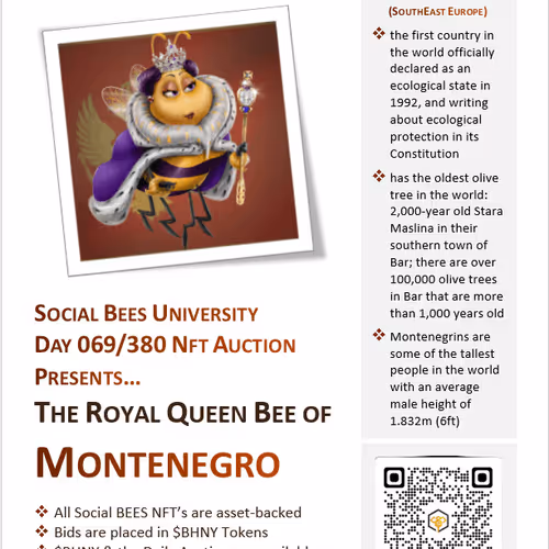 Degen Social Bees