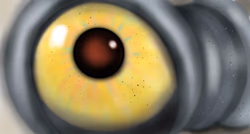 Item #20218994840825374785300390252407857383155182276225694155165314432648567848961 Media