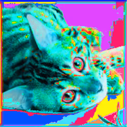 88960586343788958426741174802939624374750119757838653668849977671620096950281