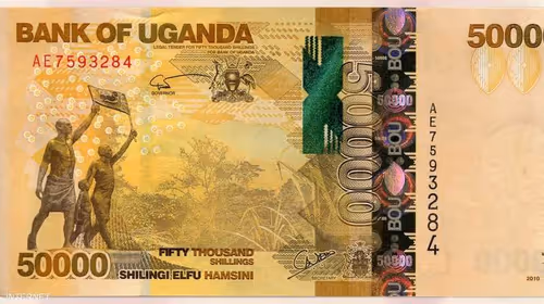 Item #58408560653266177055239592129168900754140982095492404043782717498272371441665 Media