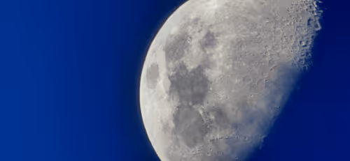 Item #78774018974347764357765192518377150739749637856503949941232678342407284064257 Media