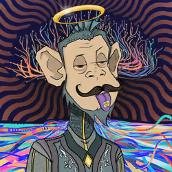 MONKEYHYPE #534