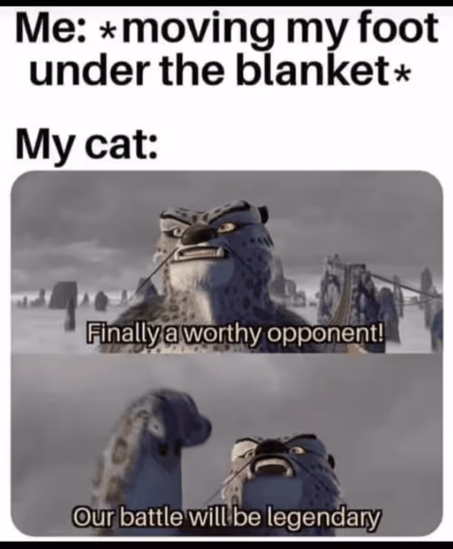 Item #10535524057743035268701883646482614387707427153440076718088478348783996895233 Media