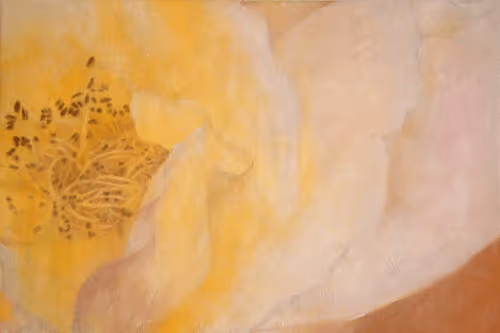 Item #72925079646173943955019179802066495558357068765344184678483369736498181046282 Media