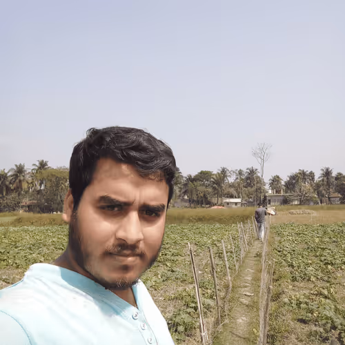 Untitled Collection #251932773