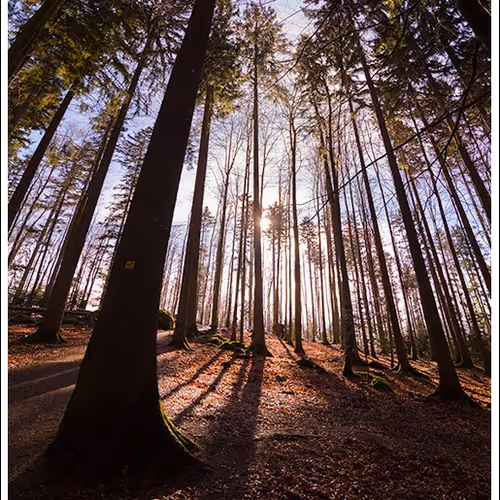 Nature Photographer 177169894