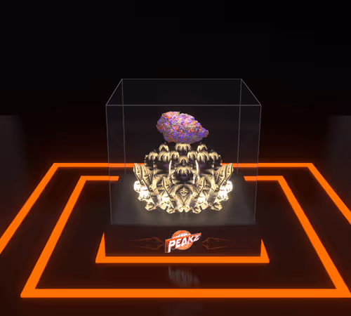 Item #30416664768498730083160680636723480070814186252642691524355121114473427894273 Media