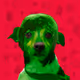 36099553795261404282579238421663119871283840647116495816804462688741470765057