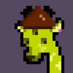 11616268853410428097681982890616201084765115422757703263338669201717532295169