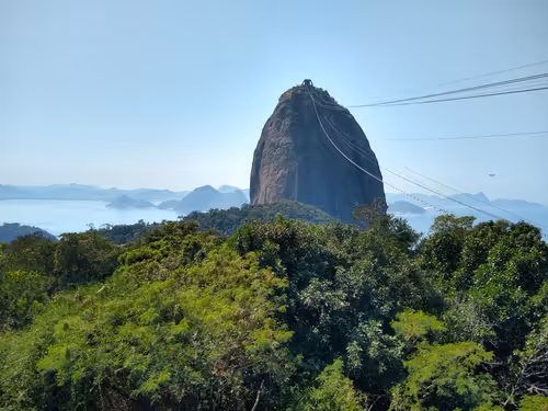 Item #39083204805328424226701303183852423297820358451573401344036649716685534658660 Media