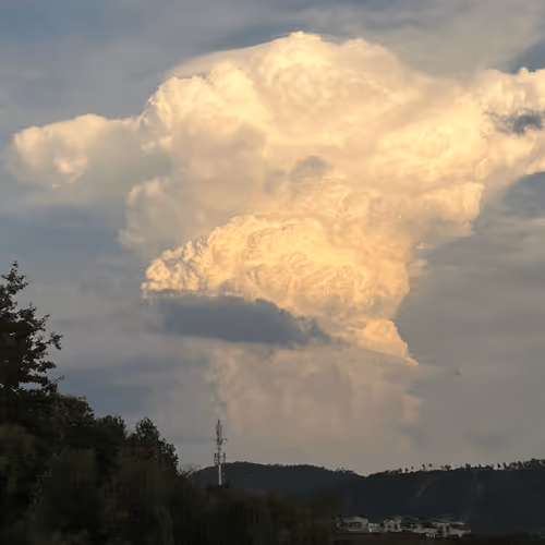 Untitled Collection #448629930