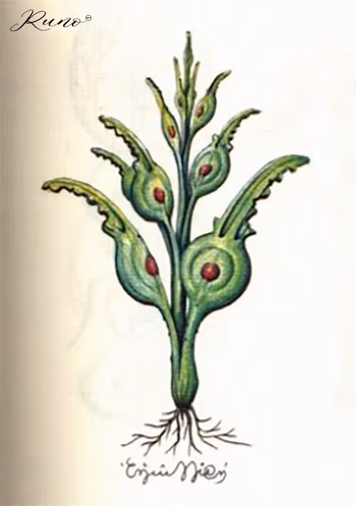 Item #82027568132874209204905566475371830288322008056794566303556805980121355780101 Media