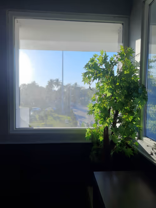 Item #86460548825896395183188707427462696963522650148758793724109723202160223584257 Media