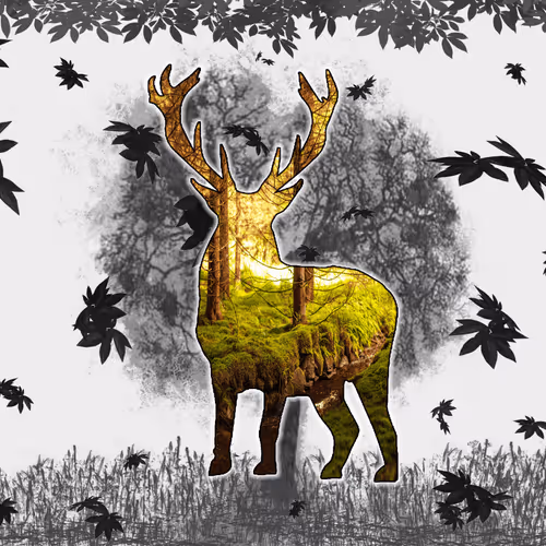 Item #96216316331027864261551150935880176489073536068863981761915721615566723613672 Media