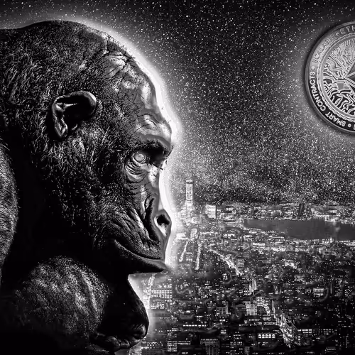 Item #48790520787155310426102062731270564561928034817995506544027698466685999647672 Media