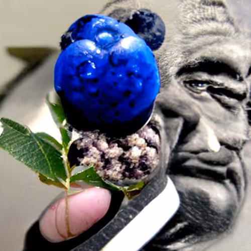 64679631018391379451233087156744612451784049402865008986305976928582546489345