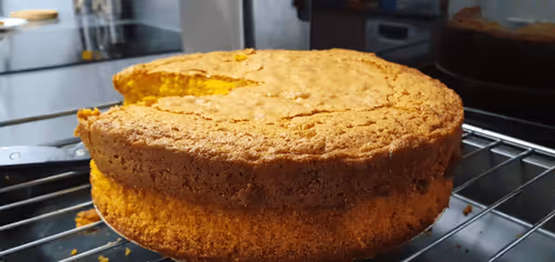 Item #51662678419762243979574358001385313596968398686549878551493020851985759338596 Media