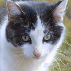 106393158711752592444527764053332067386103257112262188176365275423280220602369