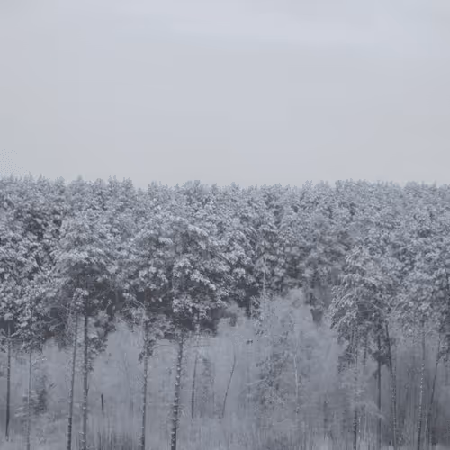 Item #39781805688626842994046507888546694714899270474383352618679520633601835139073 Media