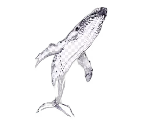 Item #46304094613724871051746606201869162156631433025373697716598318705508597366785 Media