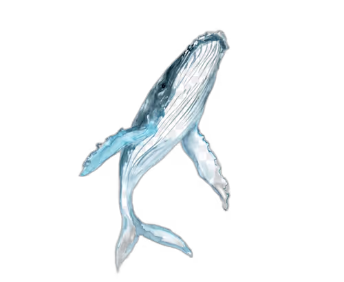 Item #46304094613724871051746606201869162156631433025373697716598318704409085739009 Media