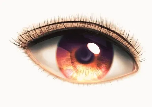 Item #42950694591796666568266939449637019646211598636303907727097118089195267555329 Media