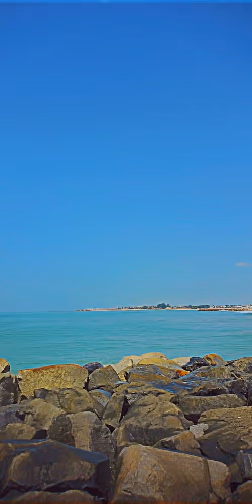 Item #41608925496439583284809555663885876184163164530978979239857956435324775170058 Media