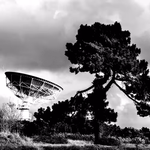 Item #73754067670666287486777451025371723803701293216623981117739972834395586297857 Media