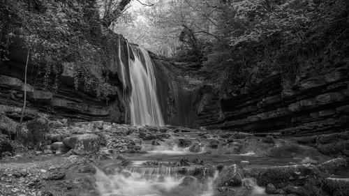 Item #69005224878913651181374632274642987681947640705852691183250276311895340220417 Media