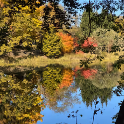The Upside Down