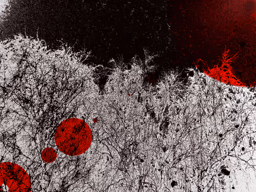 Item #35854987598477669443434387729950997184370268208733650670173741364476127477761 Media