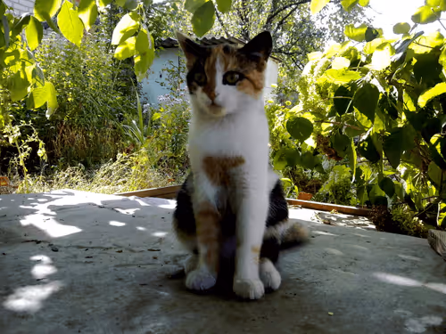 Item #41983459946325006344850038724007157971914249844141491949312559020939417747457 Media