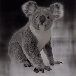 75086745474347274452093740593438062832653814310012917017256883126514262999041