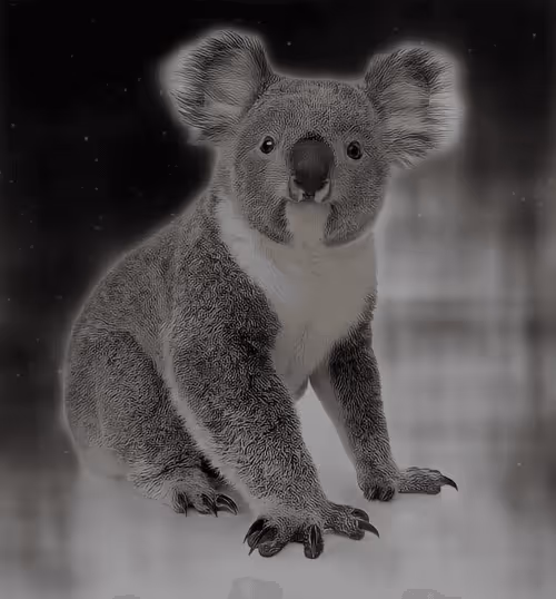 Item #75086745474347274452093740593438062832653814310012917017256883126514262999041 Media