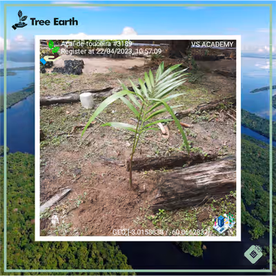 Item #8500196597889277390194123329501889087166328879864934763448349336088732499969 Media