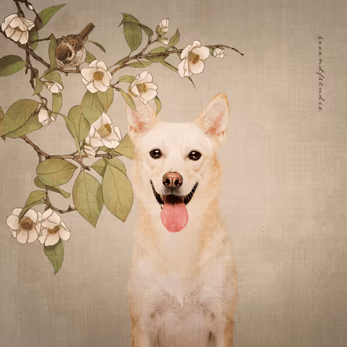 Item #8036610274517614856282005705215780499318604713549687172679363424707669917699 Media