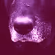 59469925215635414308738168149537256285870708887580272343609237190896380805125