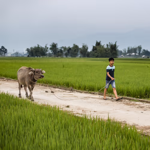 Item #80488266671287018131558448213082272878703229800970441297784273652177721884673 Media