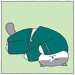 15302859459632651695822778924127903147844110046638069430744885225657001312257